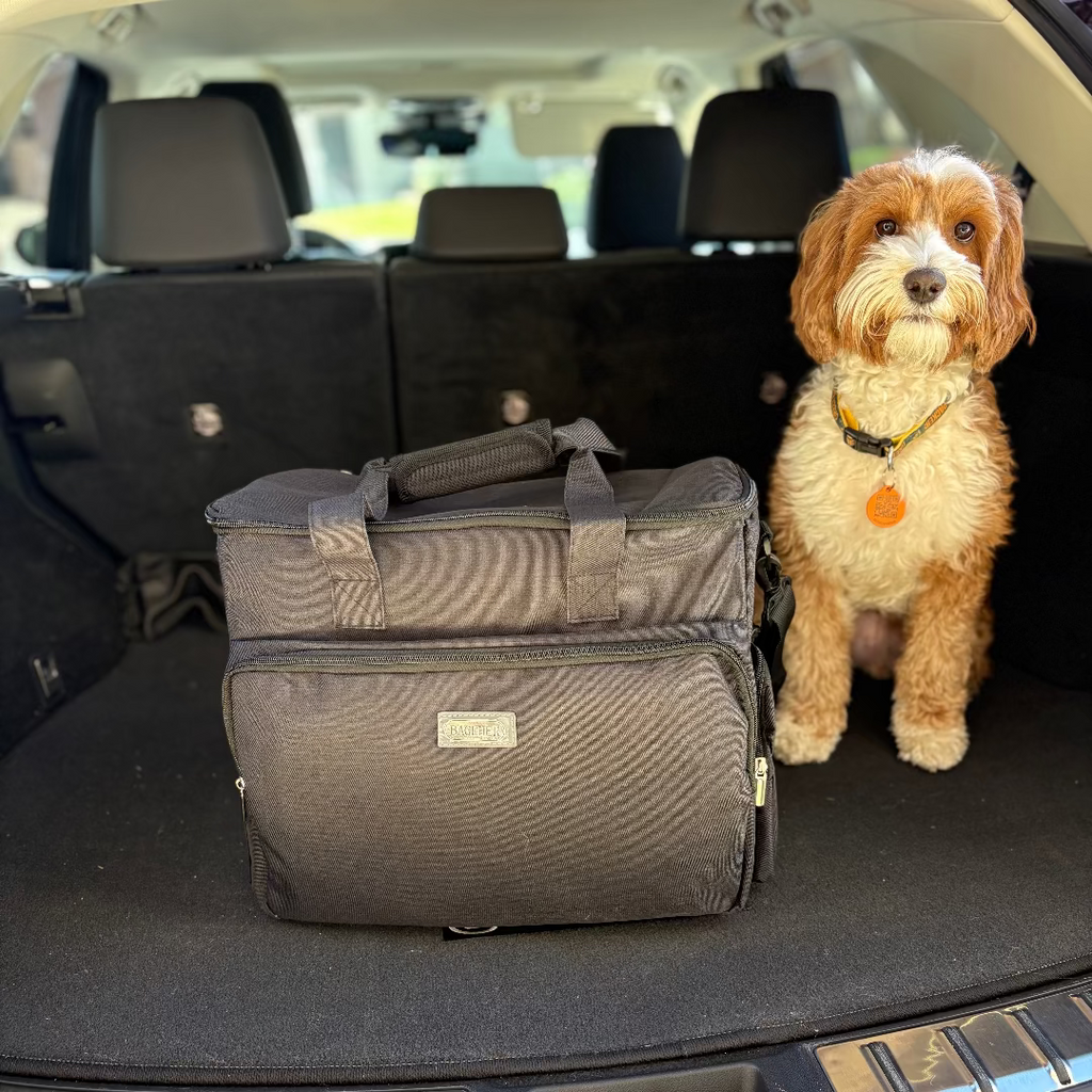The Safe Pet Kit: Must-Have Pet Kit for Disaster Situations