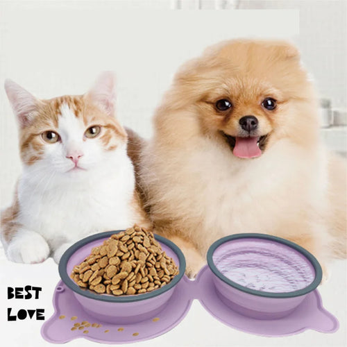 Purple double pet bowl holding food and water beside a cat and dog